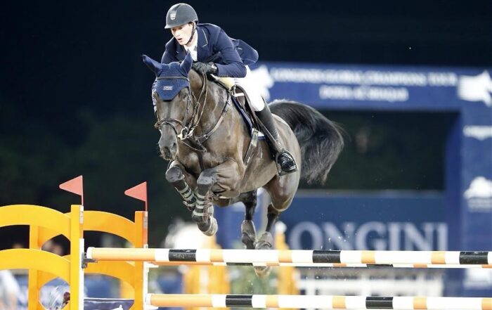 International Young Horse Training And Sales, horse show barns