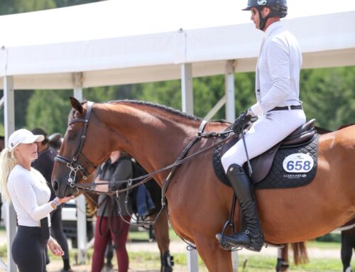 How Can Leasing A Show Pony Help Your Rider Develop Skills?